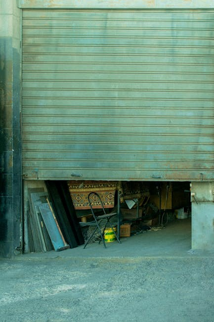wayne dalton garage door opener manual