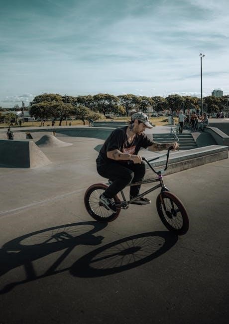 manual freestyle lite