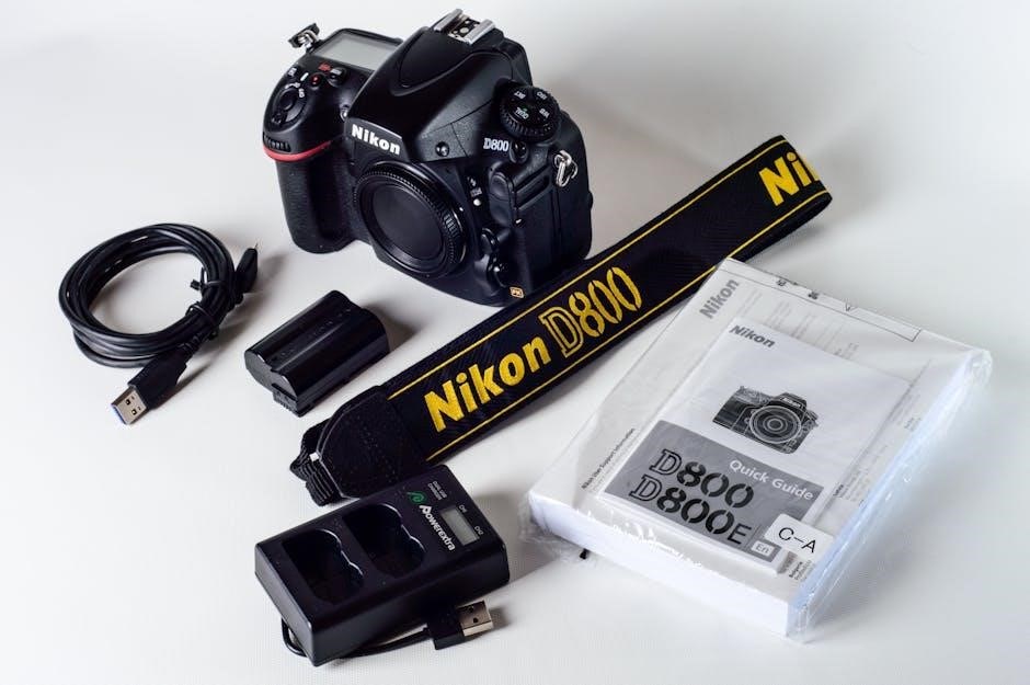 nikon coolpix p900 instruction manual
