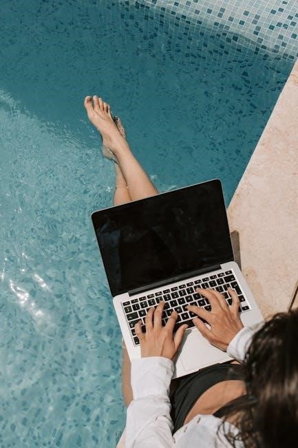 rheem pool heater manual